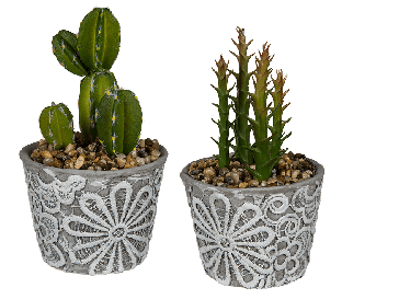 Polyresin pot with deco cactus