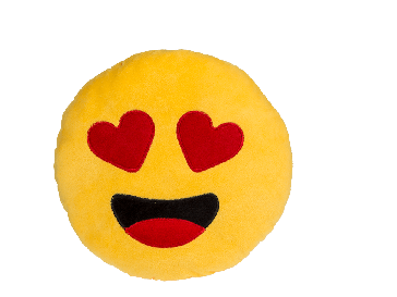 Plush cushion