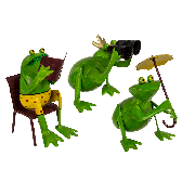 Zahradní dekorace sedící žába