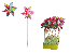 Kvetinová vrtulka